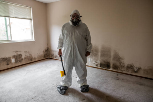 Reliable Princeton, IN Mold Removal Solutions